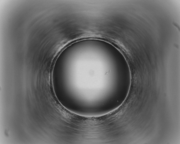 X0000095921220200801181410