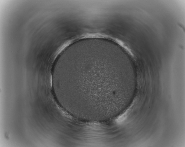 X0000095921221200801181410