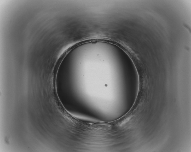 X0000095921222200801181410