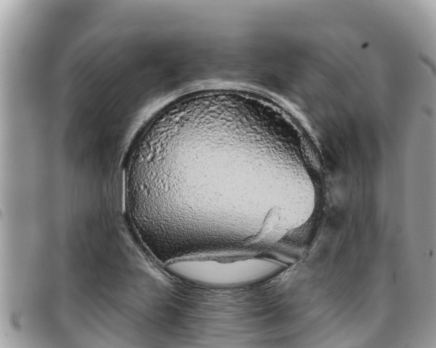 X0000095921223200801181410