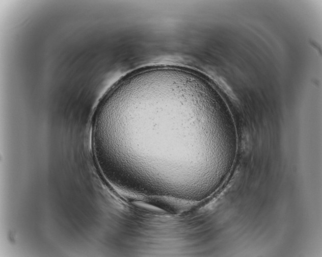 X0000095921224200801181410