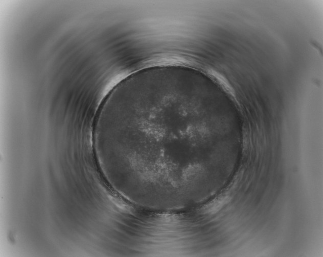 X0000095921226200801181410