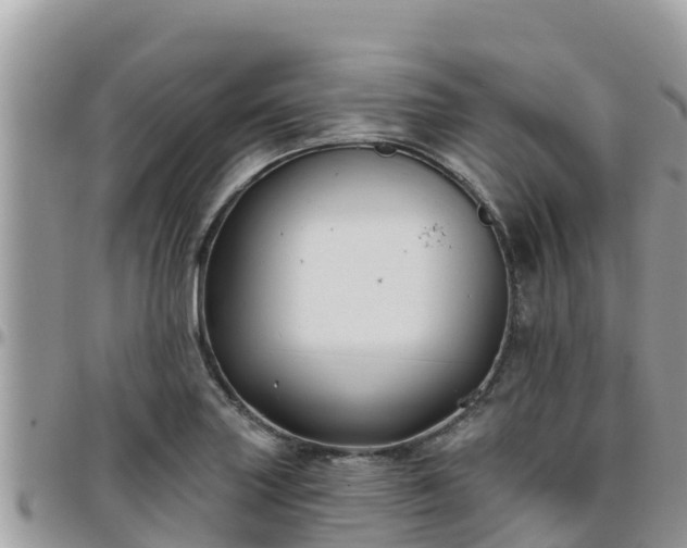 X0000095921227200801181410