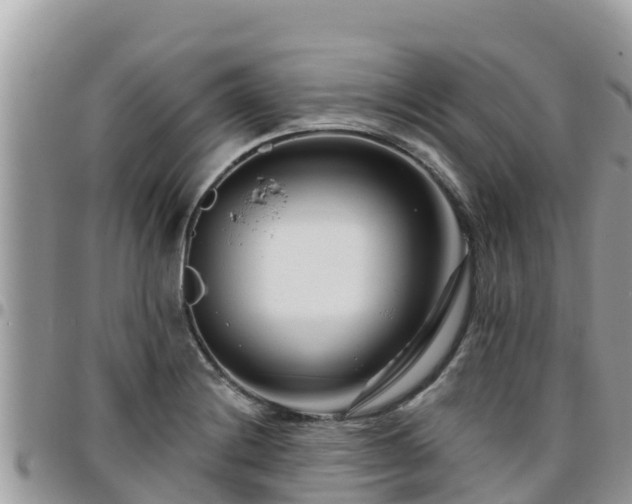 X0000095921228200801181410