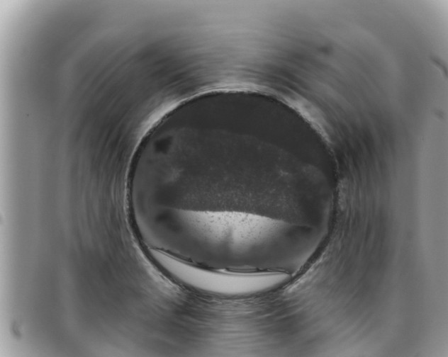 X0000095921229200801181410