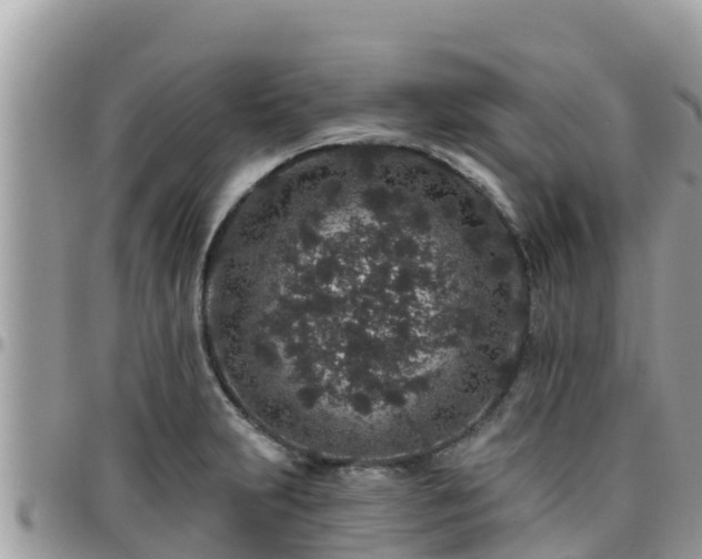 X0000095921231200801181410