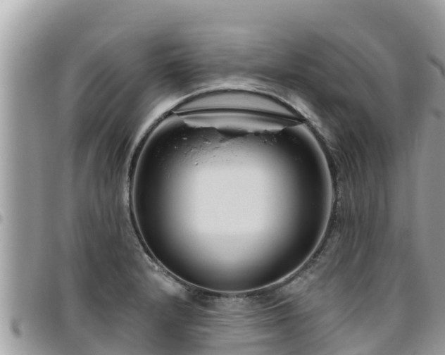 X0000095921232200801181410