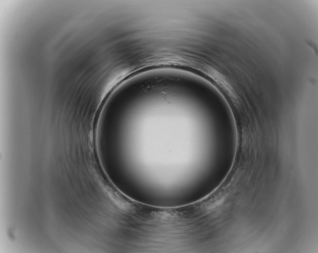 X0000095921234200801181410