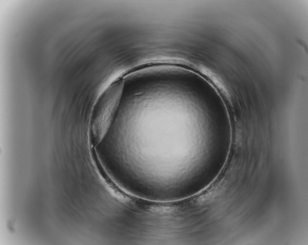 X0000095921237200801181410