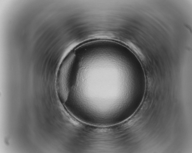 X0000095921240200801181410