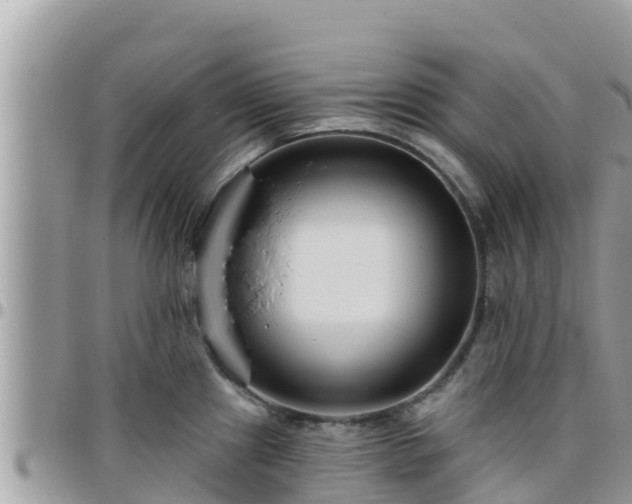 X0000095921241200801181411