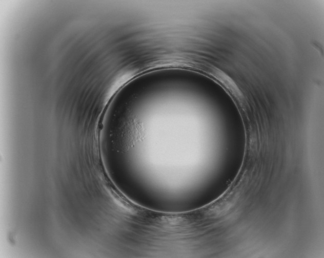 X0000095921242200801181411