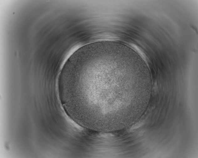 X0000095921243200801181411