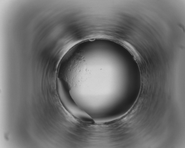 X0000095921244200801181411