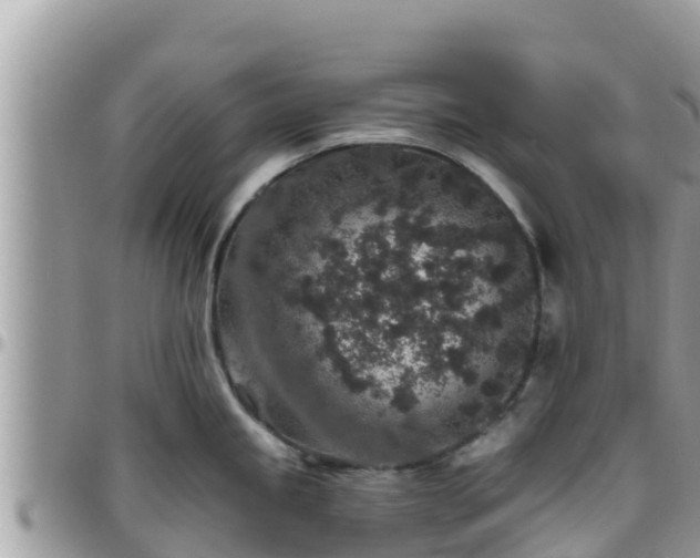 X0000095921245200801181411