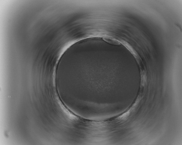 X0000095921246200801181411