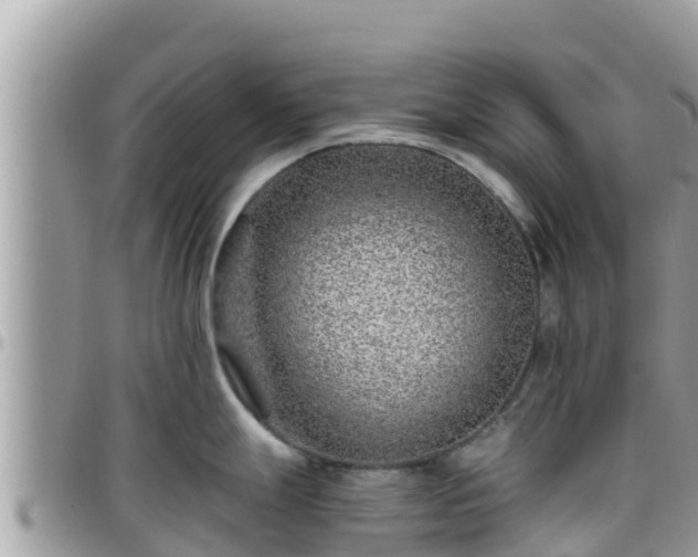 X0000095921247200801181411