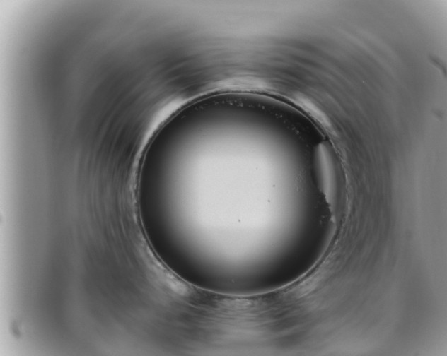 X0000095921248200801181411