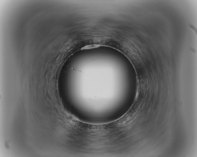 X0000095921249200801181410