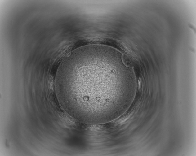 X0000095921251200801181410