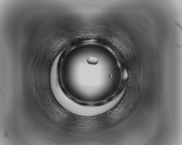 X0000095921252200801181410