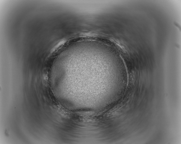 X0000095921254200801181410