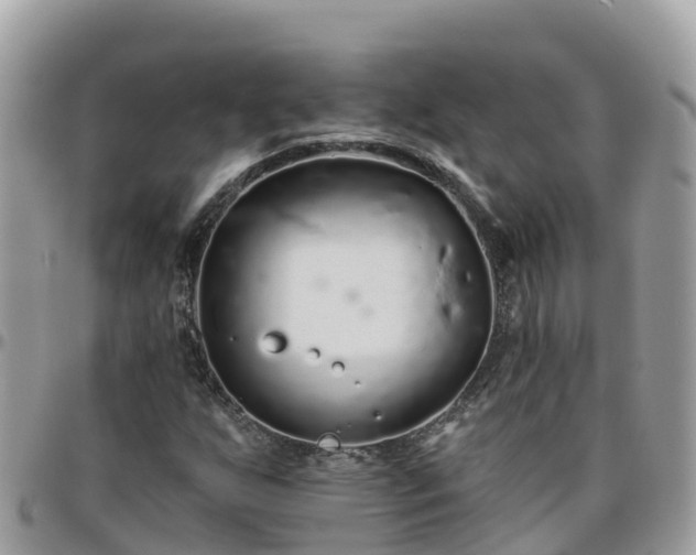 X0000095921255200801181410