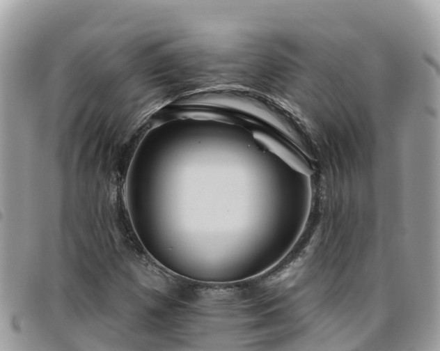 X0000095921257200801181410