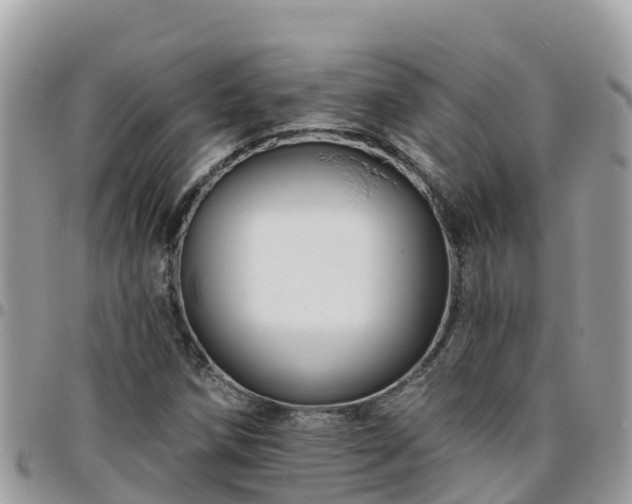 X0000095921258200801181410