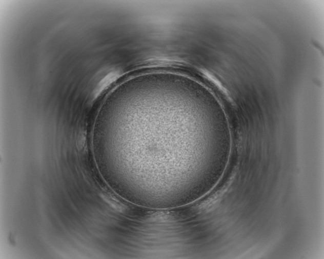 X0000095921259200801181410