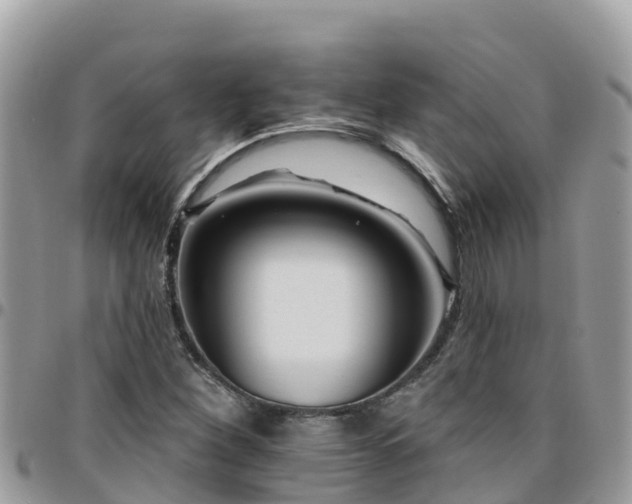 X0000095921260200801181410