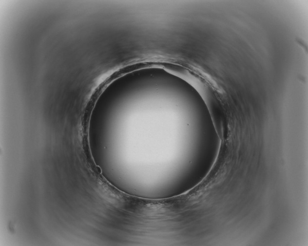 X0000095921264200801181410