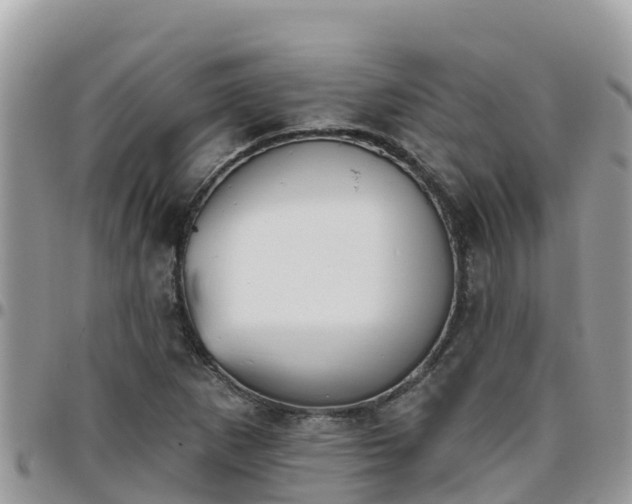 X0000095921265200801181410