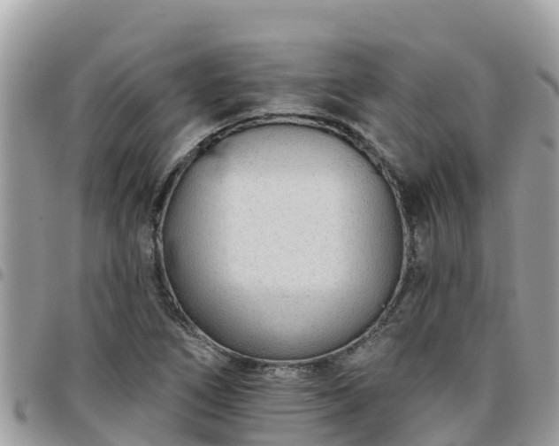 X0000095921266200801181410