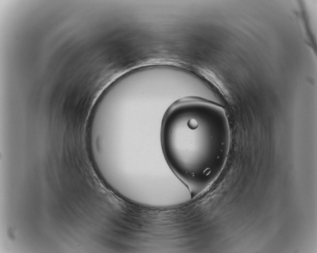 X0000095921268200801181410