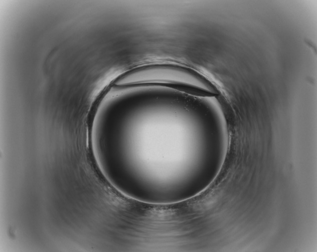 X0000095921269200801181410