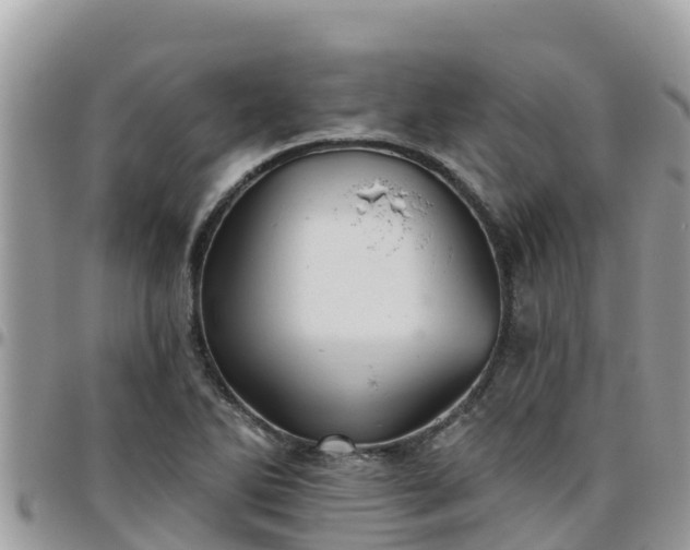 X0000095921270200801181410