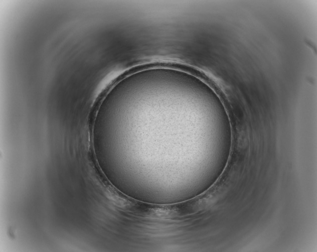 X0000095921271200801181410