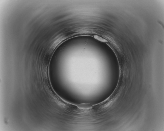 X0000095921273200801181410