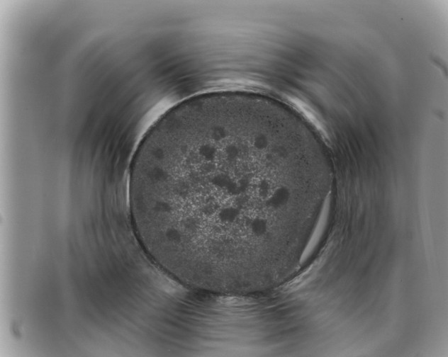 X0000095921275200801181410