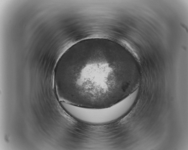 X0000095921276200801181410