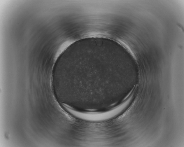 X0000095921277200801181410