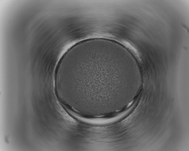 X0000095921280200801181410