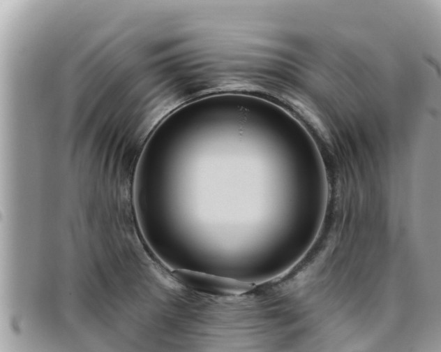 X0000095921281200801181410