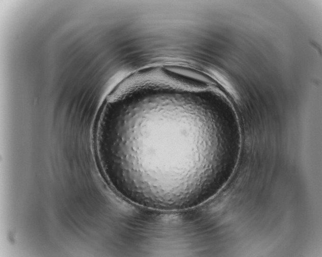 X0000095921283200801181409