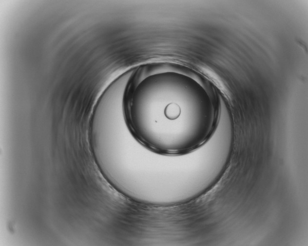 X0000095921284200801181409