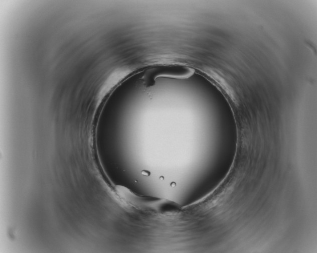 X0000095921285200801181409