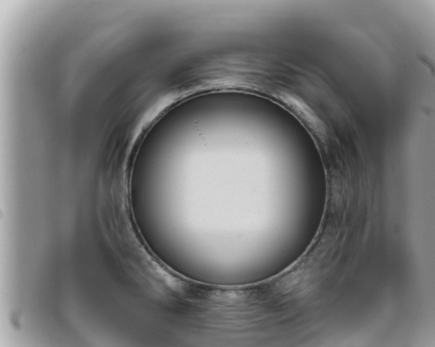 X0000095921286200801181409