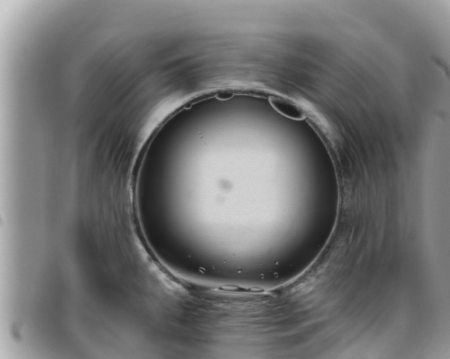 X0000095921287200801181409