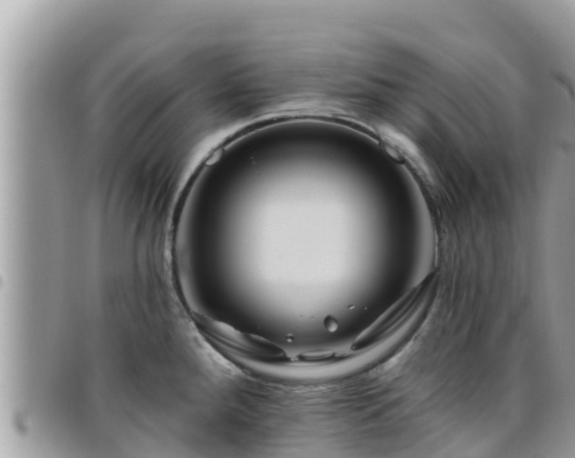 X0000095921288200801181409